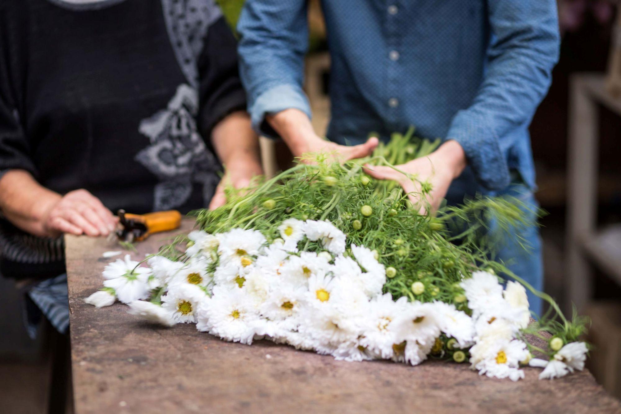 Bloombox sfeer
